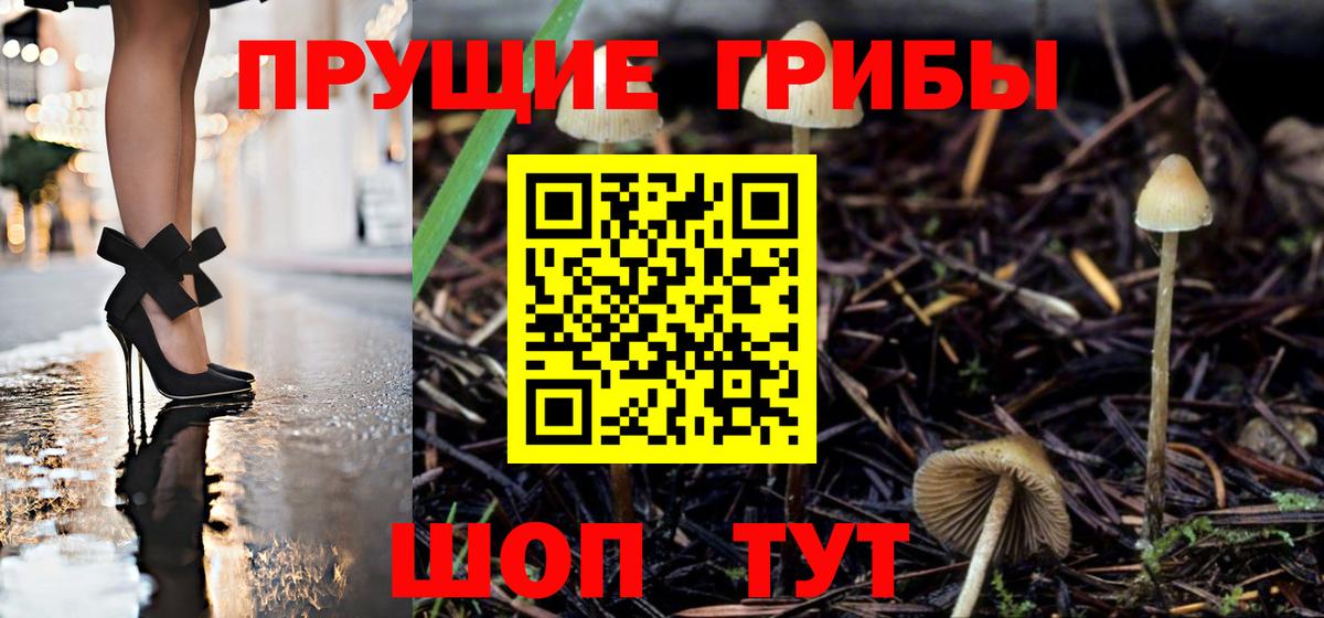 Галлюциногенные грибы прущие грибы  Вход с VPN  Волгоград 