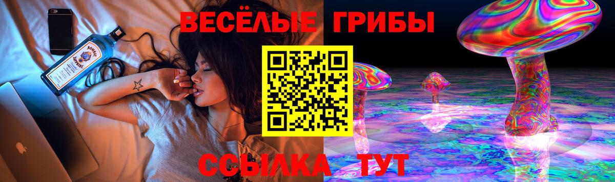 Галлюциногенные грибы GOLDEN TEACHER Волгоград